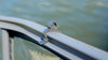 Rail Clips For Sea-Doo Switch