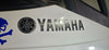 2019 Yamaha AR210 (Consignment) 91/100 VHS