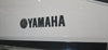 2024 Yamaha 255 FSH Sport H  93/100 VHS